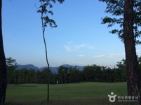 경기도뉴스포털_사회_view(text_관련기사)