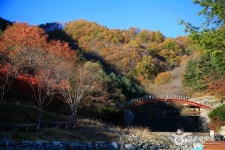 금봉자연휴양림 관광 정보와 주변 관광 명소 및 근처 맛집 여행 정보