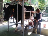 청계목장 - 화장품/주류/먹거리 | 산업관광 | 구석구석 플러스 | 대한민국구석구석