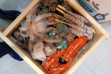 편백찜 집 음식점 정보와 주변 관광 명소 및 근처 맛집 여행 정보