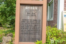 [한라산 둘레길 9구간] 숫모르편백숲길 관광 정보와 주변 관광 명소 및 근처 맛집 여행 정보
