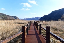 장흥댐 신풍갈대습지 - 주변 여행 및 근처 관광 명소 - 국내 여행 정보와 관광 명소 정보