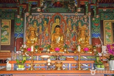 영천사 (충북) 관광 정보와 주변 관광 명소 및 근처 맛집 여행 정보