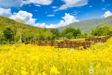 고창 운곡람사르습지 관광 정보와 주변 관광 명소 및 근처 맛집 여행 정보