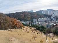 정정공강사상묘역 관광 정보와 주변 관광 명소 및 근처 맛집 여행 정보