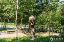 토마토조각공원 관광 정보와 주변 관광 명소 및 근처 맛집 여행 정보
