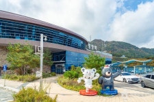 [효석문학100리길 2코스] 대화장터 가는 길 레저스포츠 정보와 주변 관광 명소 및 근처 맛집 여행 정보