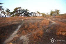 Surime (수리뫼) - Restaurant - Korea travel and tourism information
