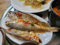 가연식당 음식점 정보와 주변 관광 명소 및 근처 맛집 여행 정보