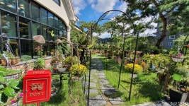 김삿갓밥집 음식점 정보와 주변 관광 명소 및 근처 맛집 여행 정보