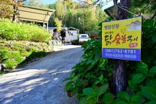 백운산(광양) - 주변 여행 및 근처 관광 명소 - 국내 여행 정보와 관광 명소 정보