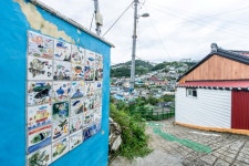 동해 논골담길(등대 담화마을) 레저스포츠 정보와 주변 관광 명소 및 근처 맛집 여행 정보