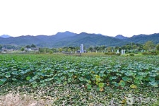 죽동제 관광 정보와 주변 관광 명소 및 근처 맛집 여행 정보