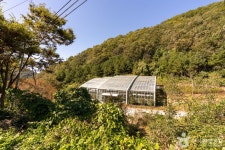 군위 장곡자연휴양림 관광 정보와 주변 관광 명소 및 근처 맛집 여행 정보