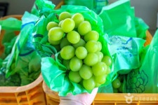 인처골마을 관광 정보와 주변 관광 명소 및 근처 맛집 여행 정보