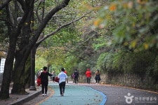 팔달공원 - 주변 여행 및 근처 관광 명소 - 국내 여행 정보와 관광 명소 정보