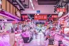 가락몰 쇼핑 정보와 주변 관광 명소 및 근처 맛집 여행 정보