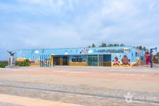 대천해수욕장 관광 정보와 주변 관광 명소 및 근처 맛집 여행 정보