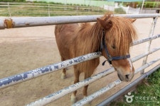 우농타조농장 관광 정보와 주변 관광 명소 및 근처 맛집 여행 정보