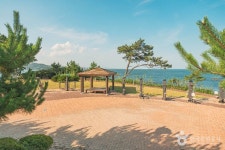 솔개해수욕장 - 주변 여행 및 근처 관광 명소 - 국내 여행 정보와 관광 명소 정보