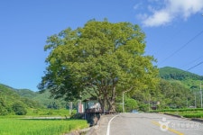 가뫼골마을 관광 정보와 주변 관광 명소 및 근처 맛집 여행 정보