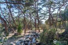 의림지 솔밭공원 관광 정보와 주변 관광 명소 및 근처 맛집 여행 정보