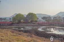 상사화피는마을 관광 정보와 주변 관광 명소 및 근처 맛집 여행 정보