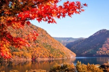 물회명가 - 주변 여행 및 근처 관광 명소 - 국내 여행 정보와 관광 명소 정보