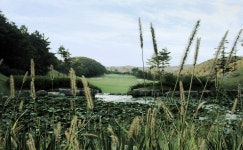 화성상록GC 레저스포츠 정보와 주변 관광 명소 및 근처 맛집 여행 정보