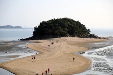 뻘다방 - 주변 여행 및 근처 관광 명소 - 국내 여행 정보와 관광 명소 정보
