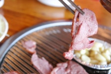 아름드리민물장어 음식점 정보와 주변 관광 명소 및 근처 맛집 여행 정보