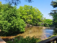 돌담집식당 음식점 정보와 주변 관광 명소 및 근처 맛집 여행 정보