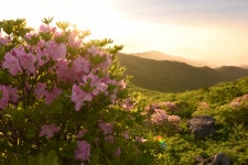 천동오토캠핑장 - 주변 여행 및 근처 관광 명소 - 국내 여행 정보와 관광 명소 정보
