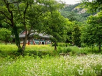 김정회고가 - 주변 여행 및 근처 관광 명소 - 국내 여행 정보와 관광 명소 정보