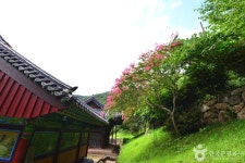 รูปภาพผลการค้นหา Naver 4