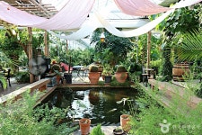 휘게팜 관광 정보와 주변 관광 명소 및 근처 맛집 여행 정보