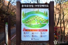 국립 용대자연휴양림 관광 정보와 주변 관광 명소 및 근처 맛집 여행 정보