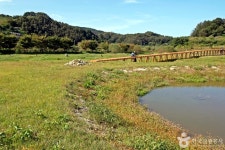 신지천 생태 습지 관광 정보와 주변 관광 명소 및 근처 맛집 여행 정보