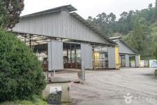 청계목장 관광 정보와 주변 관광 명소 및 근처 맛집 여행 정보