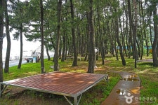 용동해수욕장 관광 정보와 주변 관광 명소 및 근처 맛집 여행 정보