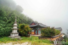심적사(산청) 관광 정보와 주변 관광 명소 및 근처 맛집 여행 정보