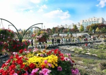 봉명동 우산거리 - 주변 여행 및 근처 관광 명소 - 국내 여행 정보와 관광 명소 정보