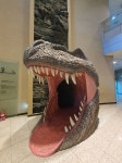고성공룡박물관 문화 정보와 주변 관광 명소 및 근처 맛집 여행 정보