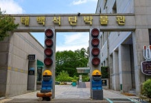 태백석탄박물관 문화 정보와 주변 관광 명소 및 근처 맛집 여행 정보