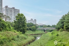 굴포천 생태하천 관광 정보와 주변 관광 명소 및 근처 맛집 여행 정보