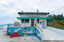 대섬어촌복합체험공원 관광 정보와 주변 관광 명소 및 근처 맛집 여행 정보