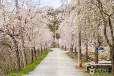 기강서원 - 주변 여행 및 근처 관광 명소 - 국내 여행 정보와 관광 명소 정보