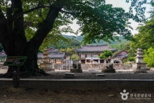 [대구올레 팔공산 3코스] 부인사 도보길 레저스포츠 정보와 주변 관광 명소 및 근처 맛집 여행 정보