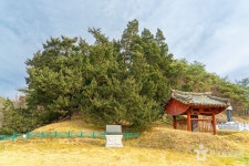 신성리 공룡발자국 - 주변 여행 및 근처 관광 명소 - 국내 여행 정보와 관광 명소 정보