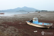 厚浦港 船首浦口（후포항 선수포구） - 観光 - 韓国旅行・観光情報